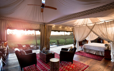 DUBA PLAINS SUITE