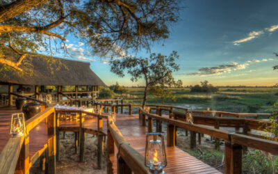 CAMP OKAVANGO