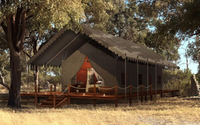 MBAMBA CAMP