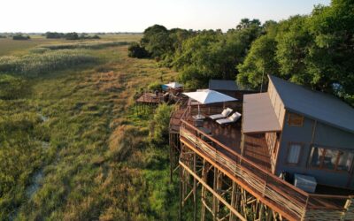 TREEHOUSE CAMP
