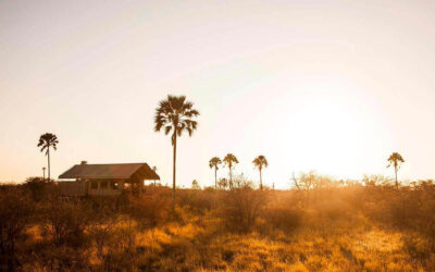 CAMP KALAHARI