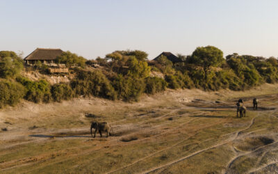 MOELA SAFARI LODGE