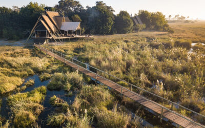 SELINDA CAMP