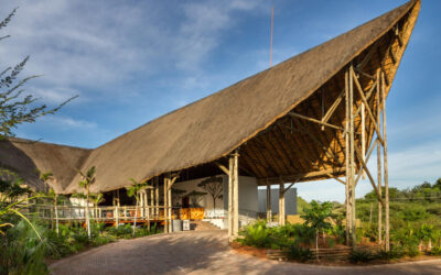 CHOBE BUSH LODGE