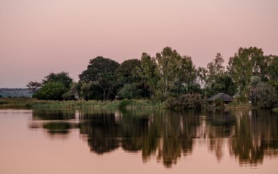 CHOBE MARINA LODGE
