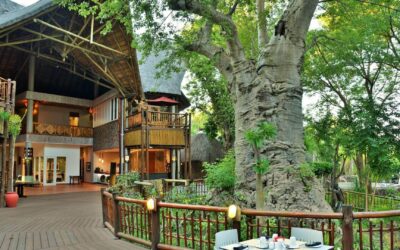 CHOBE MOWANA LODGE