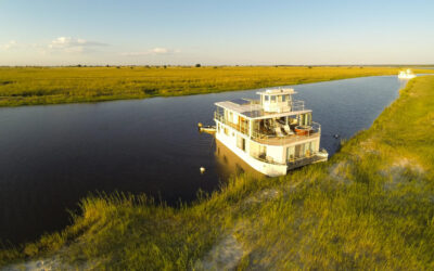 CHOBE PRINCESS